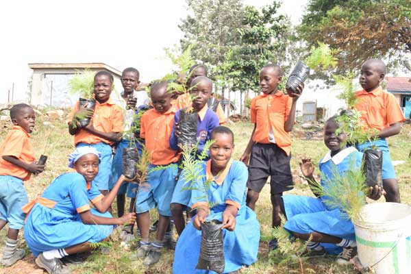 Rona Foundation